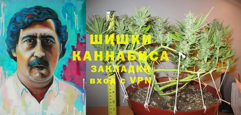 МАРИХУАНА THC 21%  Рассказово 